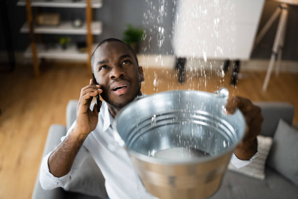 Best Flooded house restoration  in Wellsville, OH