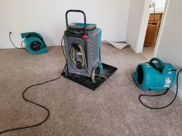 Best Emergency water damage restoration  in Wellsville, OH
