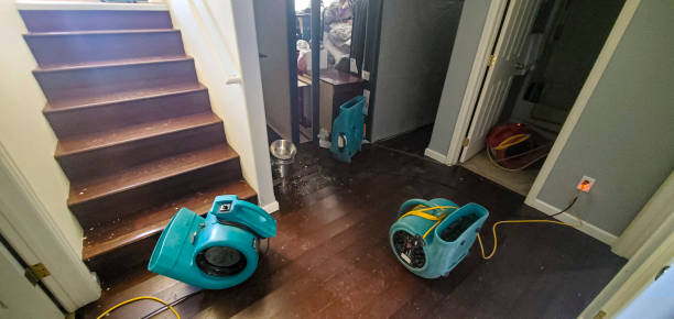 Best Water damage repair service  in Wellsville, OH