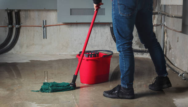 Best Water damage restoration company  in Wellsville, OH
