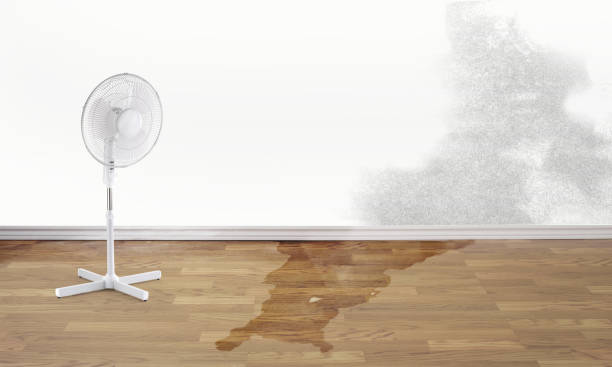 Best Residential water damage restoration  in Wellsville, OH