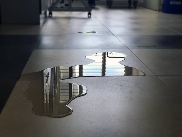 Best Water damage cleanup near me  in Wellsville, OH