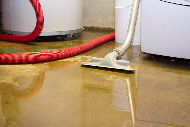 Best Ceiling water damage repair  in Wellsville, OH
