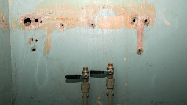 Best Commercial water damage restoration  in Wellsville, OH