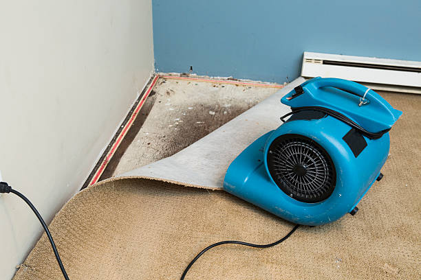 Best 24-hour water damage restoration  in Wellsville, OH